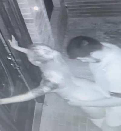 Fucking mom on more time before we had to sneak back into the house.