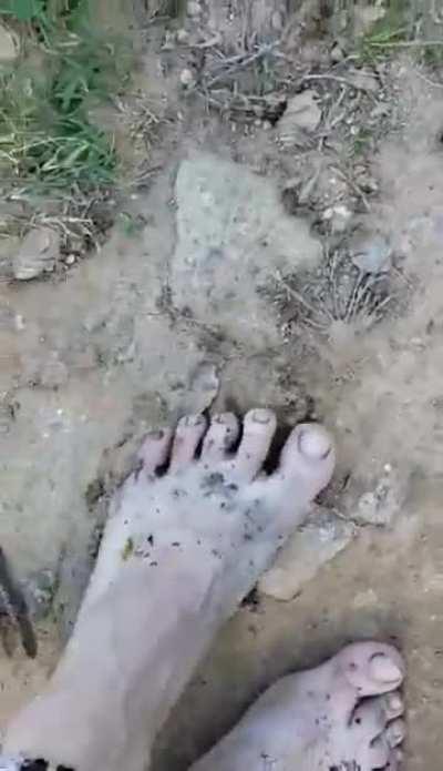 Massive Grasshopper Part 4