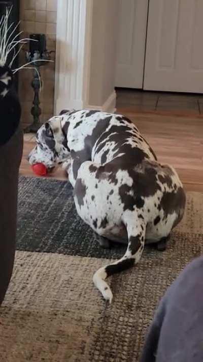 I wonder what my neighbors think goes on at my house?