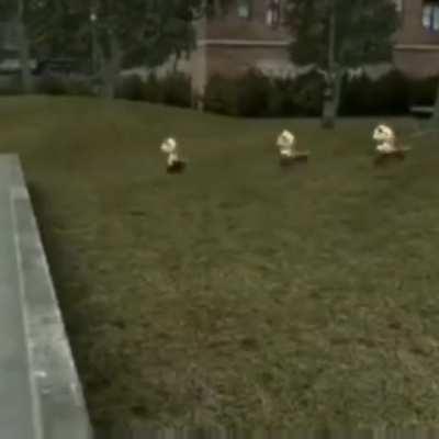 Idk what to put here 