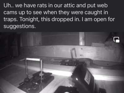 Posted in my town’s local Facebook group.