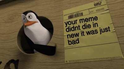 And sorry, but that's a fact