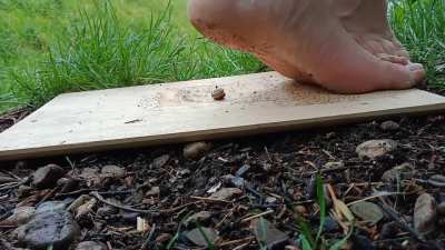 My favorite slowly underheel crush of 2022