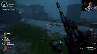 TIP: If Your Team Is Coordinated Enough, You Can Shoot Most Birds And Not Alert Any Hordes