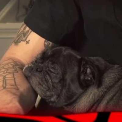 Edgar have a good dream. So cute