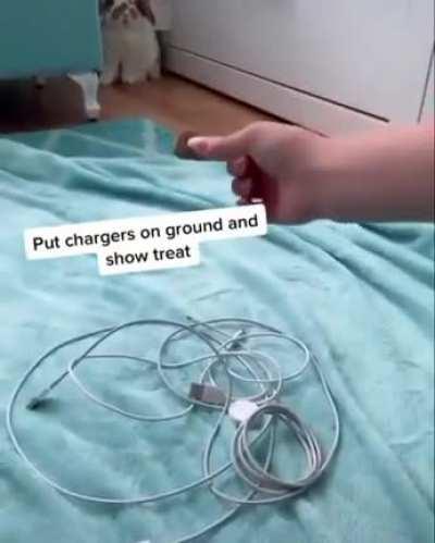 SLPT: Save your chargers from bunnies