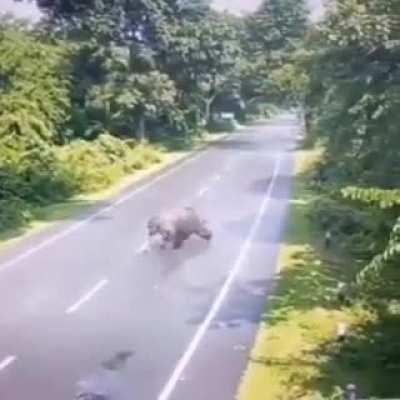 to take out a truck... by a rhino