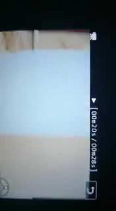 Woman shooting wedding video is interrupted by Beirut explosion.