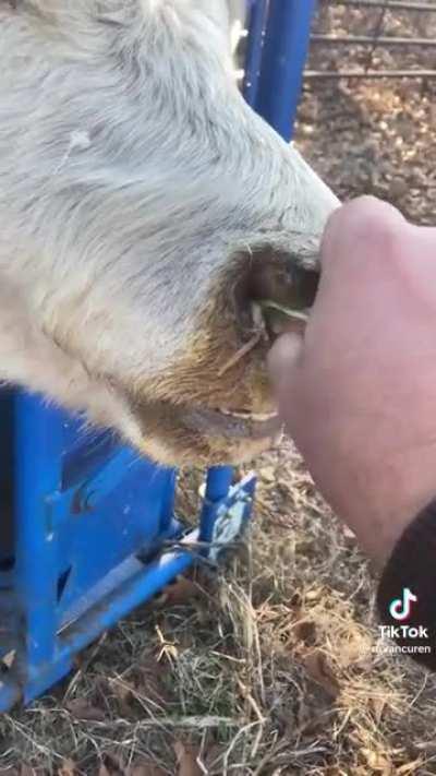 with his bare hands too!