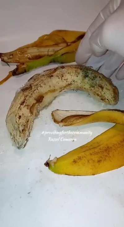 Boiled banana?