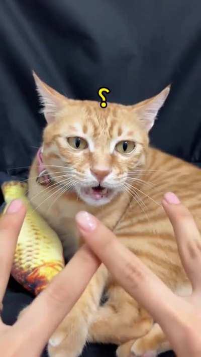 He wasn't prepared for multiple choice
