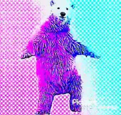 Awesome dancing polar bear