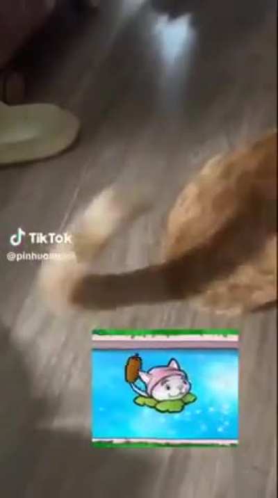 wunk will defend the garden with his life