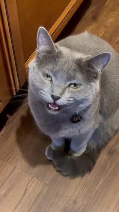 But why is the air spicy, hooman?