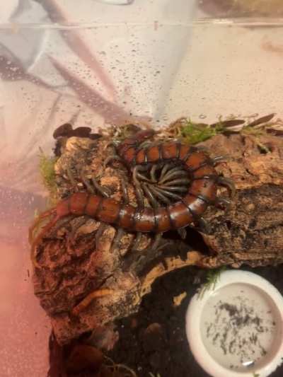 update + questions