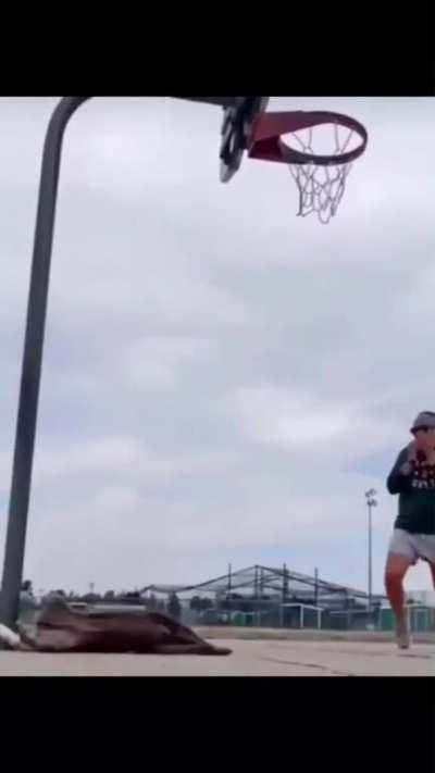 ESTILOZAP - Video #8689