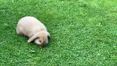 Despite all the construction noise next door Chihiro and Lin said “No thoughts, head empty. Just grass on my mind”