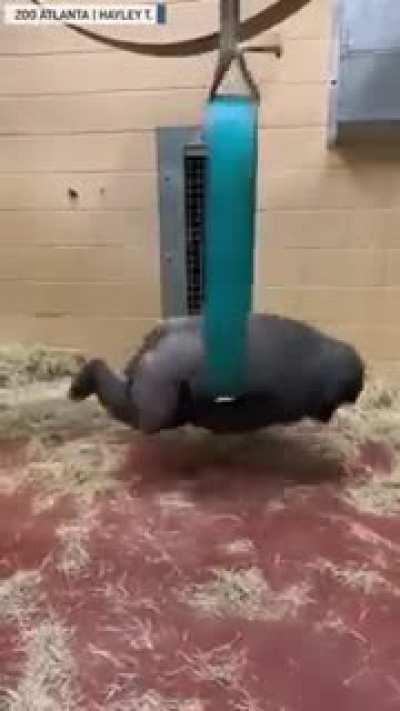 yes yes yes yes no no no