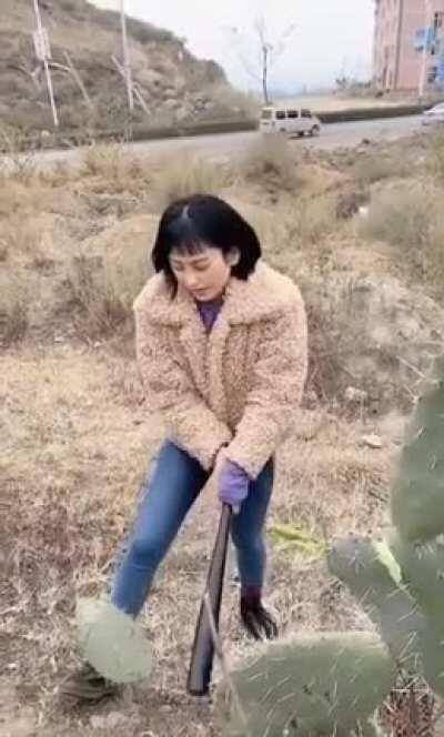 'I'm so bad, I'm going to damage a plant for absolutely no reason'