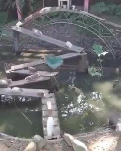 Costume maps getting crazier and crazier.