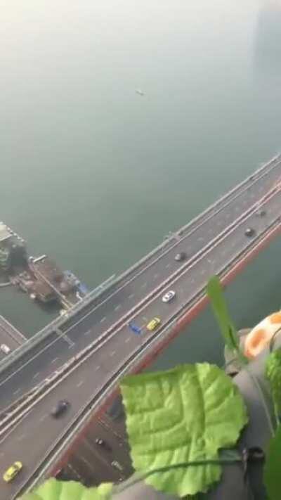 9 lives. Cat's eyes.