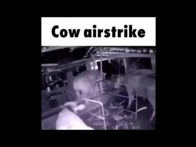 C҉͓̟͇̼͕̻ͭ͌ͩ̒͘͜͡͞͠o҉̢̡̲͇̌͗̀͢͝w҉̢̡̹̮͌̄ͦ͜͟͟͞͠͞.e̵̡̫̫͍͕̎ͭ̐͟͟͝͞x҉̣ͫͧ̕͘͜e̵̡̫̫͍͕̎ͭ̐͟͟͝͞