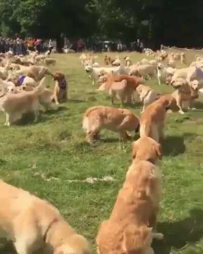 Encontro em família