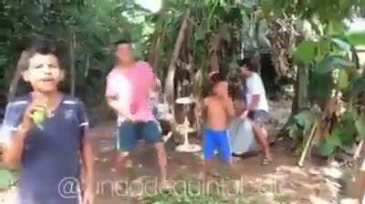 *in an exam* My brain cells :