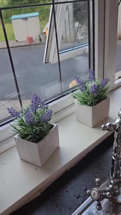 That look of anticipation