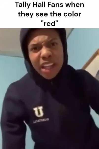 Tally Hall Fans when Colors