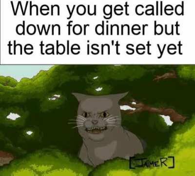 Oddly Terrifying Cat