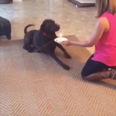 idk if this is fit here