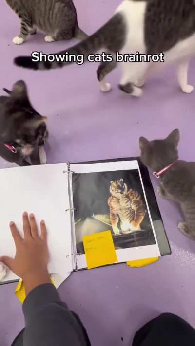 carsssdfhjlblkjbekwljh