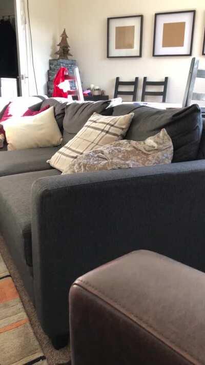 Nothing hurt but his pride