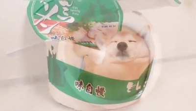 Shocking undercover footage inside instant noodle factory.