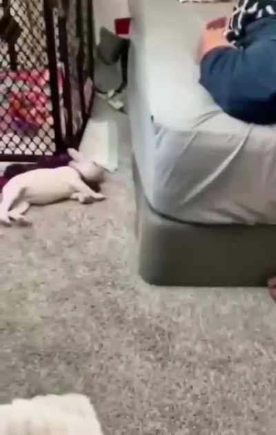 Let's not be late for bed