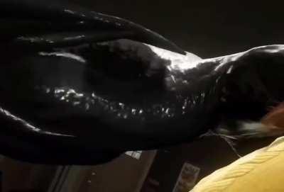 Wow that is a strong fridge