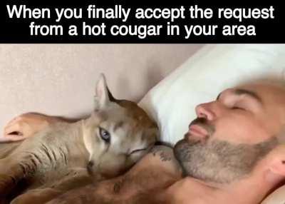 Just about made me puma pants