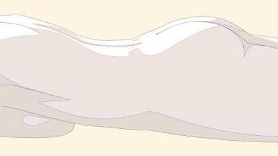 Perfect figure.. (Nekololisama)