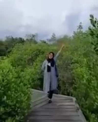 Areivb palestine (haram 😡😡😡🤬) fall (👳🏾👳🏾🤣🤣🤣🤣)