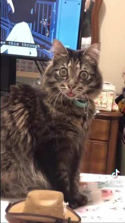 Ivar also doesn't Blink