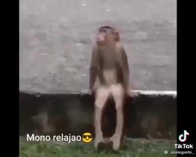 Yo hoy soy mono relajao 😎
