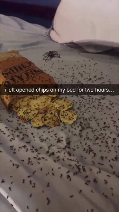 cursed_chips