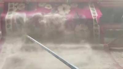 Whipping carpet out of dust