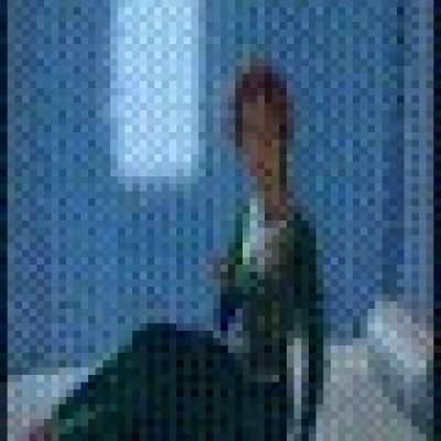 The whole Shrek movie as a Gif