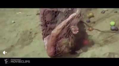 The poors are tired of being poor. See all of you on the moon. 🚀🚀🚀🚀