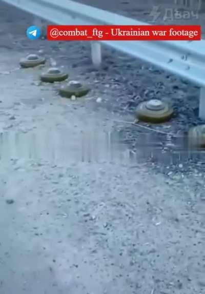 Pig almost blowing up in Ukraine