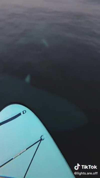 So many nightmares that look like this