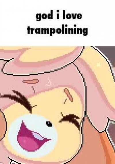 Trampolining_irl