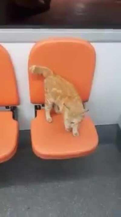 Bila Si Oyen Nak Naik Bas (Credits :Apai Wanakashie via @AskRapidKL)